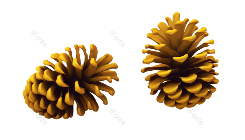 装饰图片,种子元素,新年卡PNG,闪亮免抠素材